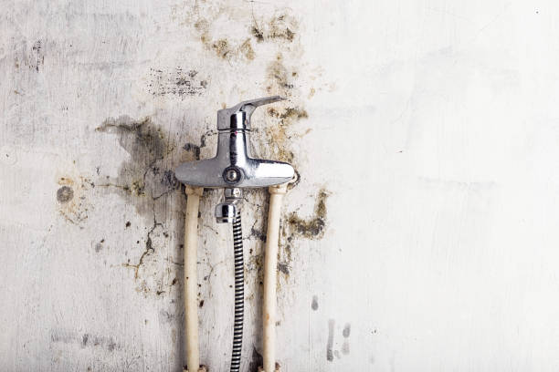Best Basement Mold Remediation in Eufaula, OK