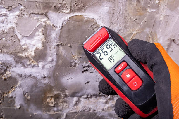 Best Post-Remediation Services in Eufaula, OK