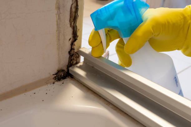 Best Crawl Space Mold Remediation in Eufaula, OK