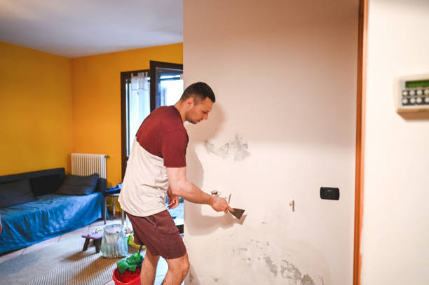 Best Preventive Mold Services in Eufaula, OK