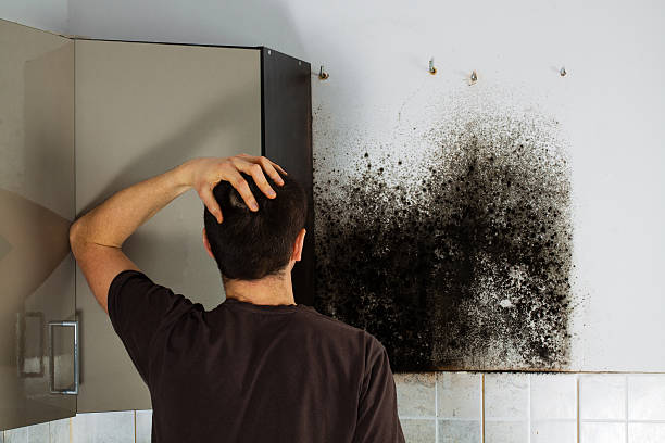 Reliable Eufaula, OK Mold Remediation Solutions